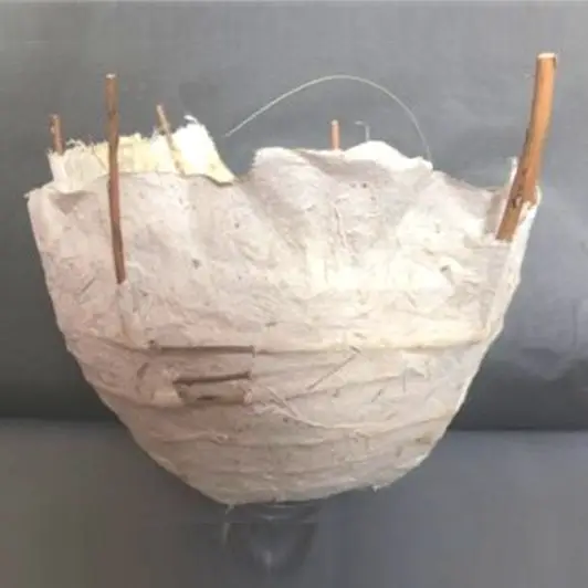 Mixed Media